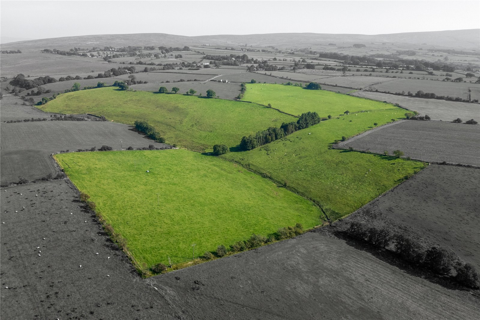 Lot 2 - Oak Head Bank Farm, Bentham, Lancashire