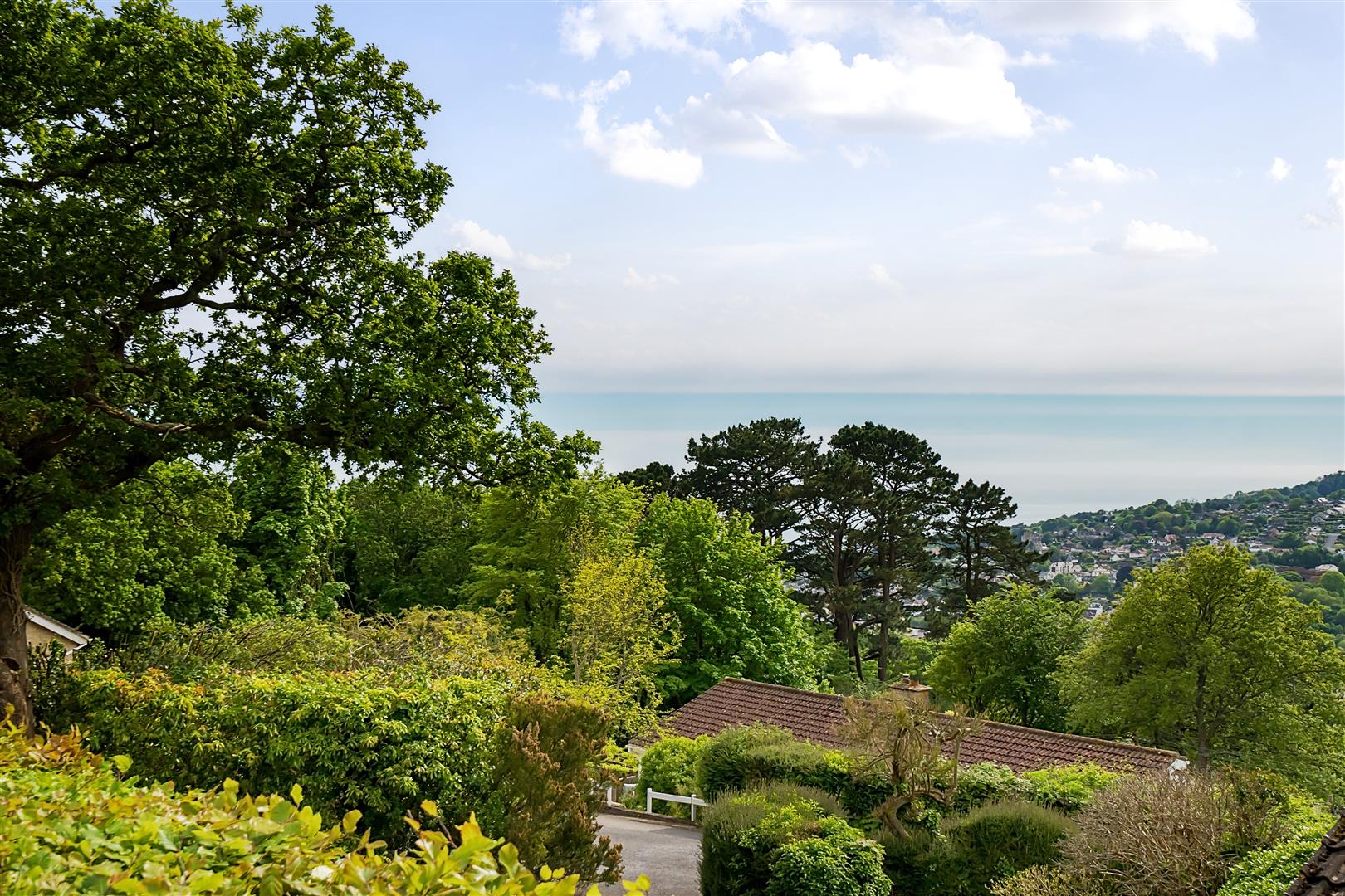 Timber Hill, Lyme Regis