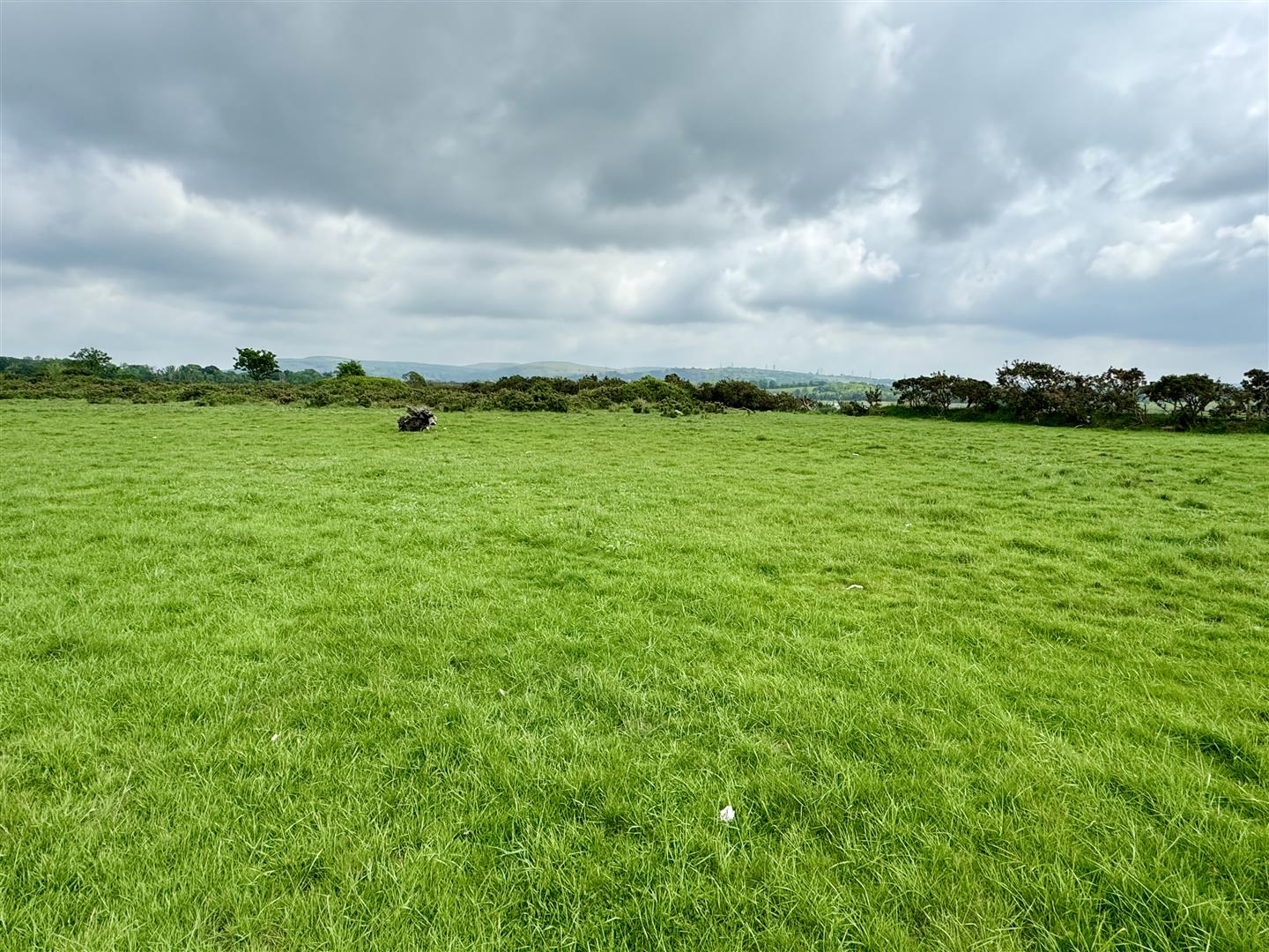 Talyclun, Llangennech