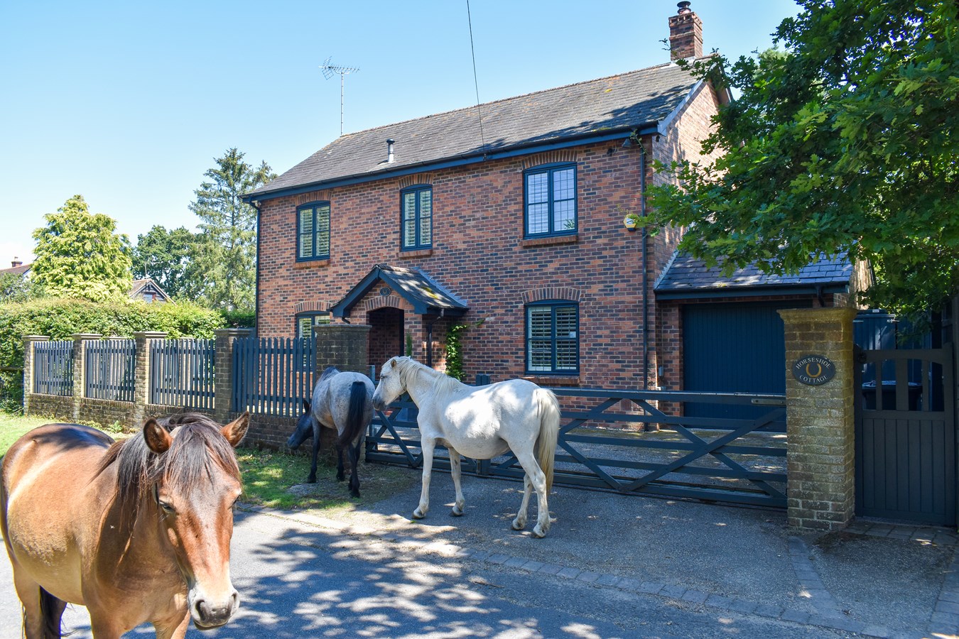 Rockford, Ringwood, BH24