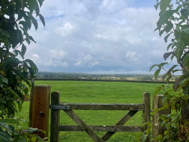 Blackgate Lane, Pulborough