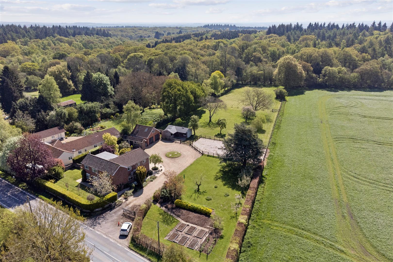 Andover Down, Andover