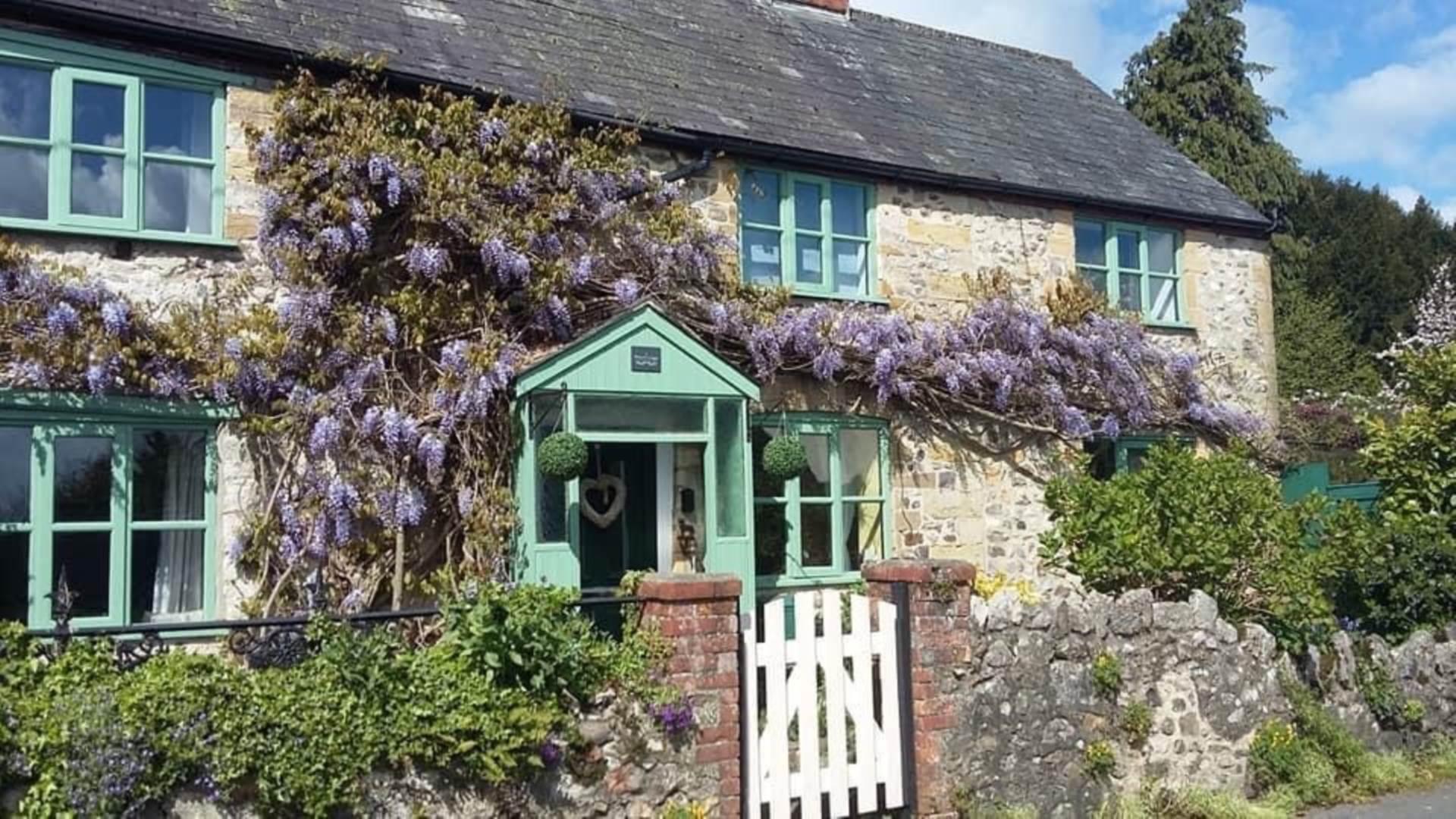 Wisteria Cottages, Tatworth