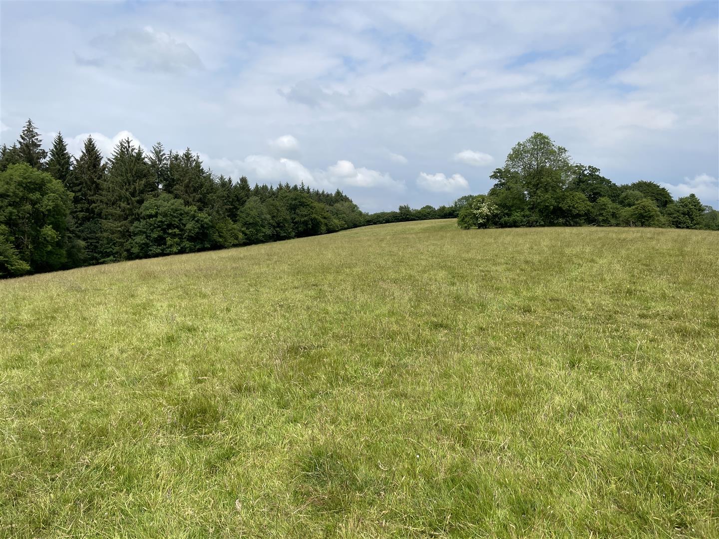 Molland Cross, South Molton