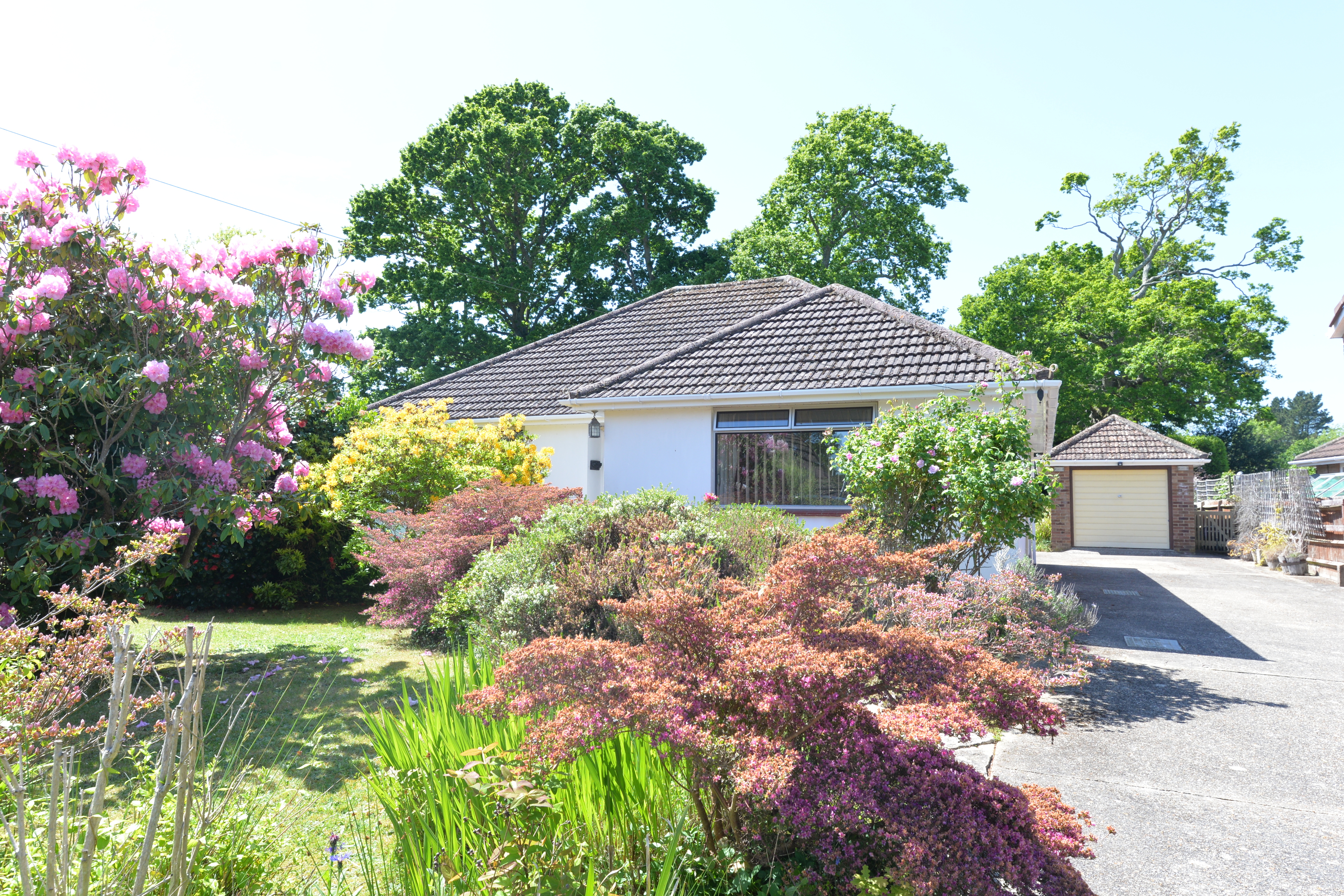 Brook Avenue North, New Milton