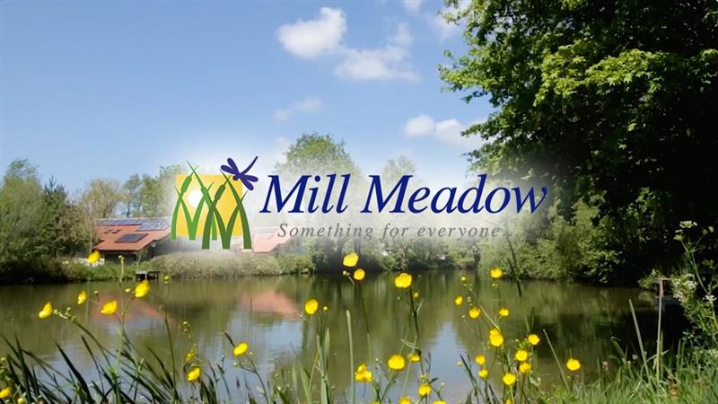 Mill Meadows, Kingston St. Mary, Taunton, TA2