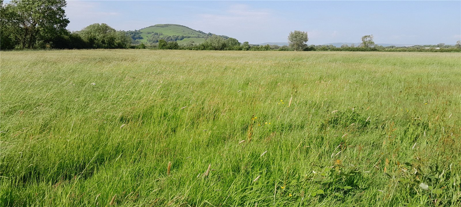 Edithmead, Highbridge, Somerset, TA9