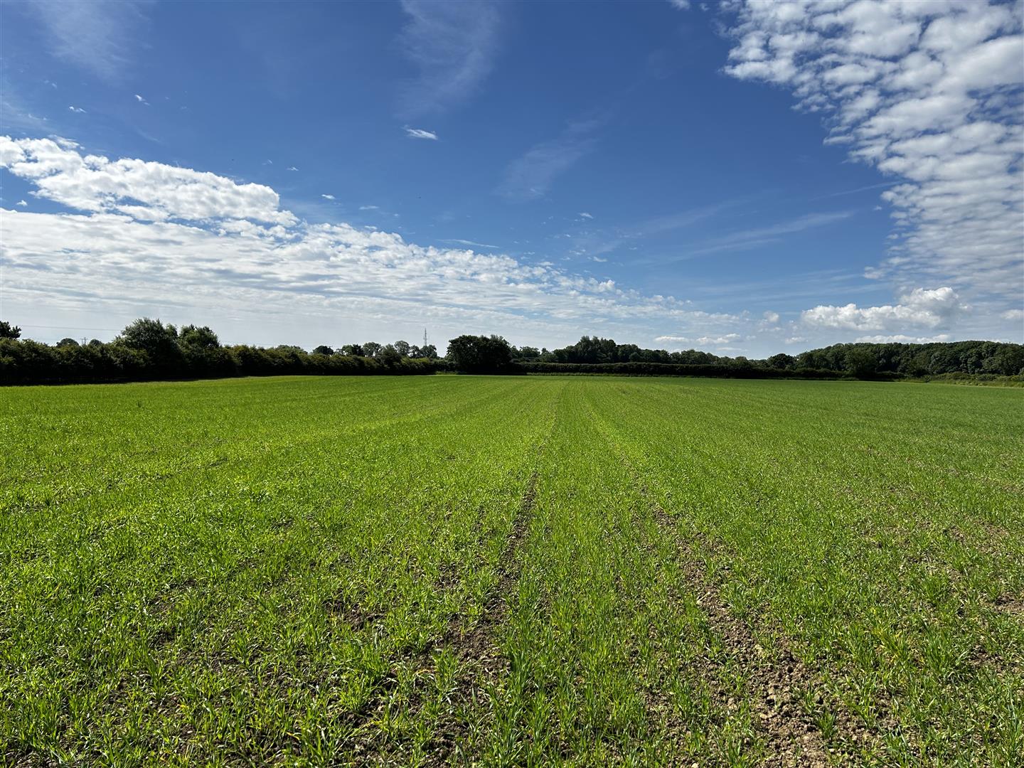 Newton Aycliffe, County Durham